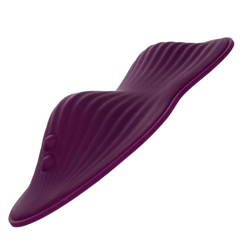 CALEXOTICS - Kaukosäätimellä ohjattava kaksimoottorinen Dual Rider
