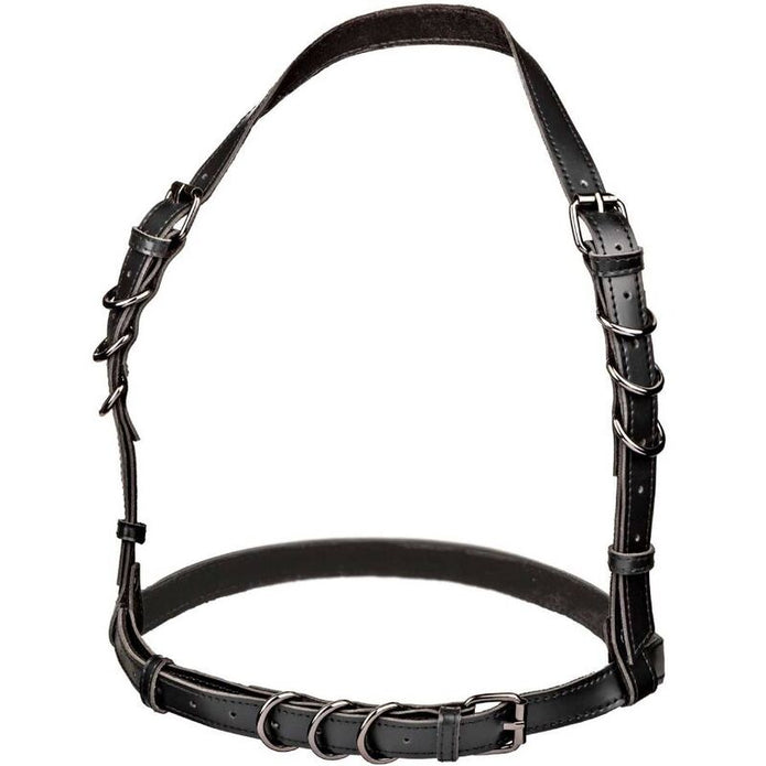 CALEXOTICS - Pluskoon mustat halter-valjaat soljella