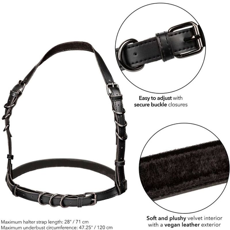 CALEXOTICS - Pluskoon mustat halter-valjaat soljella