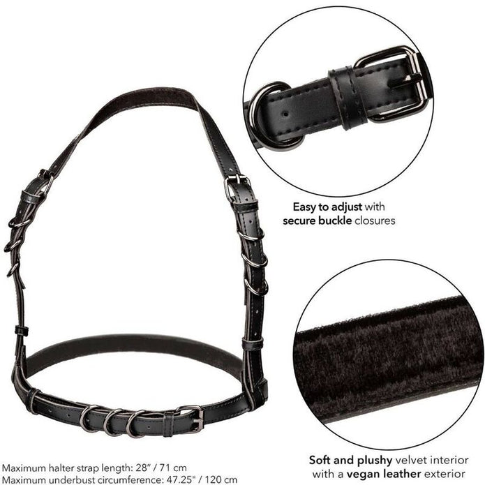 CALEXOTICS - Pluskoon mustat halter-valjaat soljella