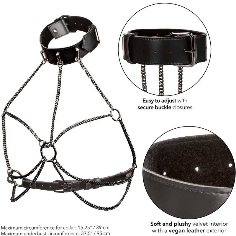 CALEXOTICS - Moniketjuinen valjas