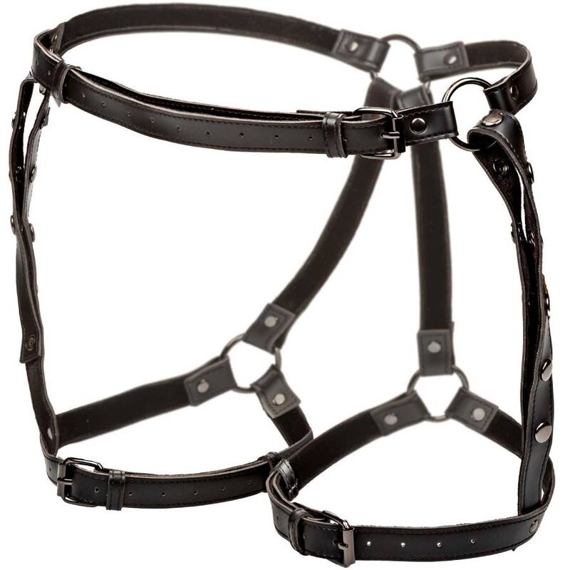 CALEXOTICS - Plus Size reisivaljaat