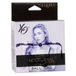 CALEXOTICS - NOCTURNAL BALLGAG SILIKON SVART