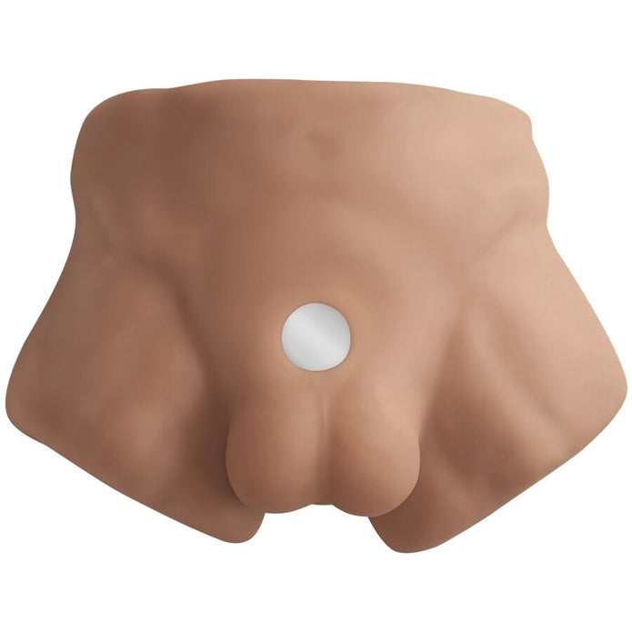 SILEXD - APOLLO S REALISTIC HALF MALE TORSO CARAMEL