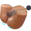 CRAZY BULL - WENDY- Masturbaattori torso 11 KG